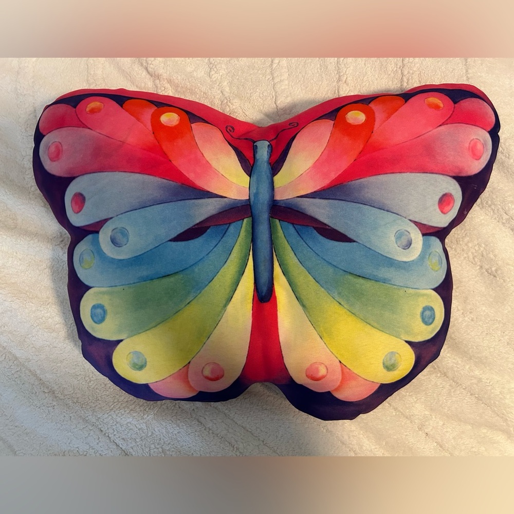 Rainbow Butterfly pillow 🌈🦋 EUC